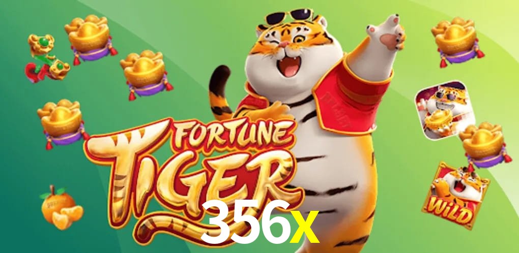 Experiência VIP 356x